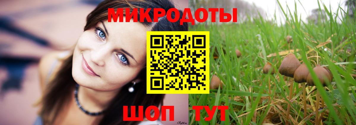 Галлюциногенные грибы мицелий  Вход с VPN  Псилоцибиновые грибы мухоморы  Заинск 